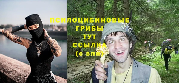 гашик Михайлов