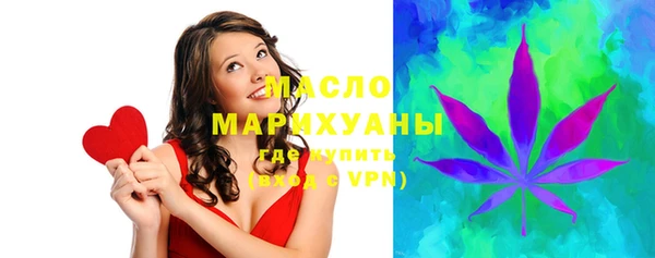 гашик Михайлов