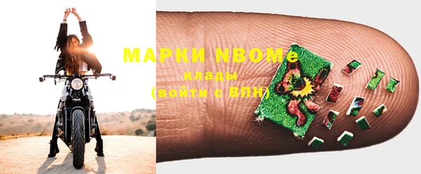 гашик Михайлов