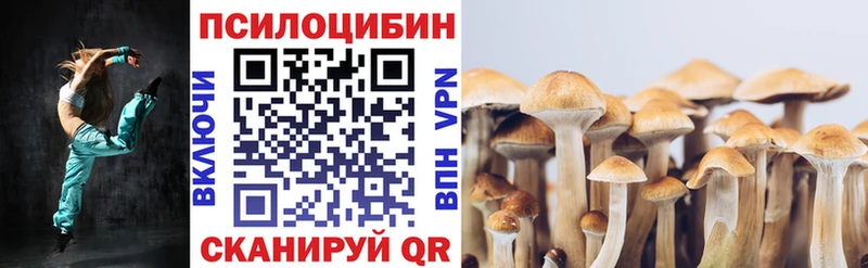 Галлюциногенные грибы Cubensis  Купить  Невинномысск 